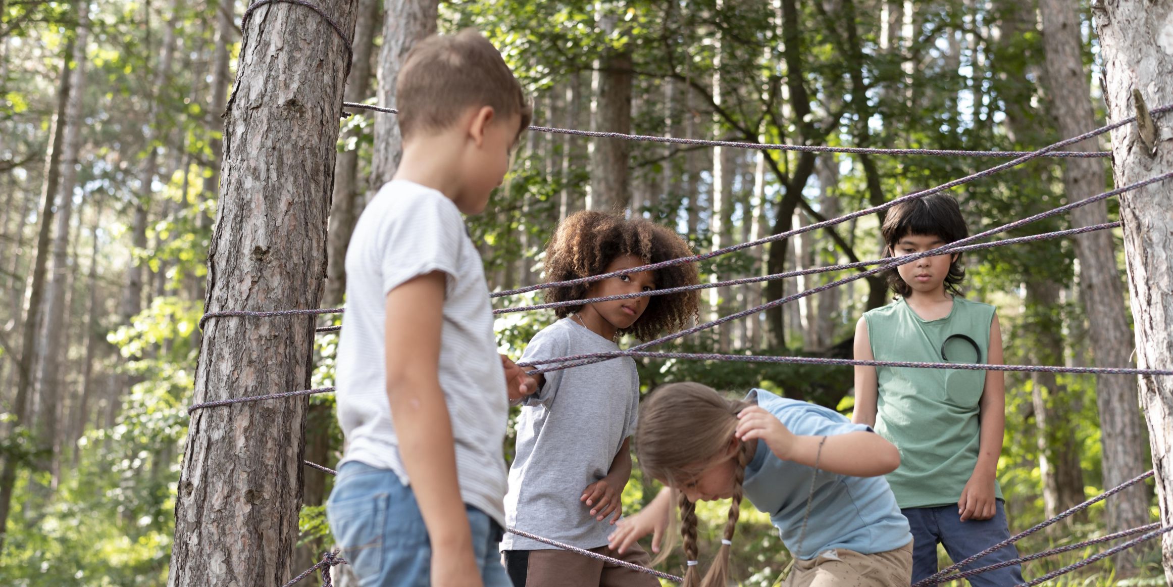 Bauprojekt Niedrigseilgarten